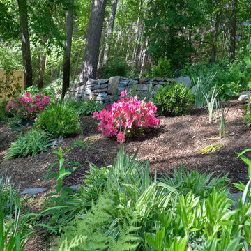 Woodland Garden on a Slope