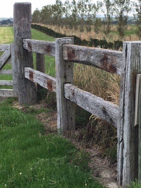 Hardwoods ex NZ rail network