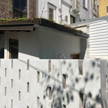 WIndsor Terrace Backyard