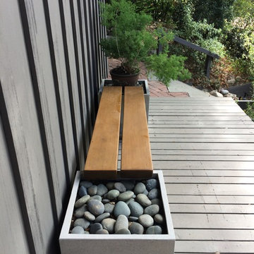 Mid-Century Modern Renovation - Altadena, CA