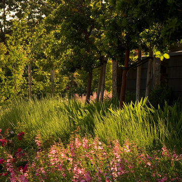 Quaint Oasis