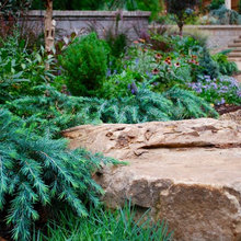 Landscape Design