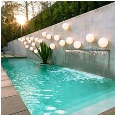 Cuáles son buenas opciones de plantas para muro de piscina?