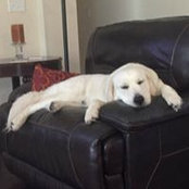 Mark Schueneman's photo