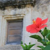 Ruth Hines's photo