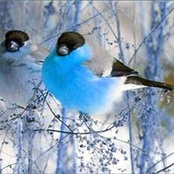 Millie Harmon's photo