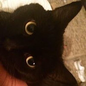 Kristen Szymanski's photo