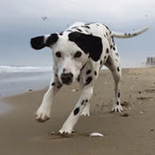 Justin Funk's photo