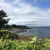 Jamie Owens's photo