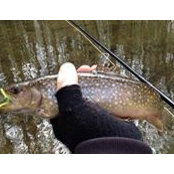 Dan Bailey's photo