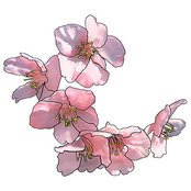 Ashley Tomberg's photo