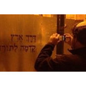 Scott Westle's photo