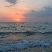 Heather Bucholtz's photo