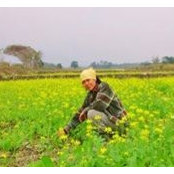 June Wang's photo