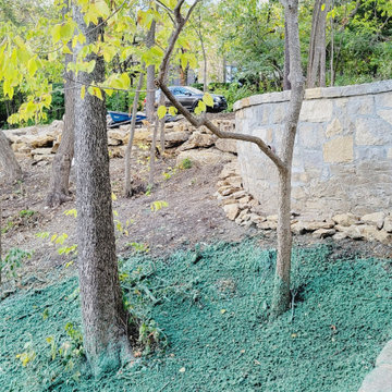 Woodland Restoration Hydroseeding Hillside