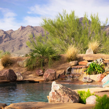 Custom Pools, Stream, Water Feature