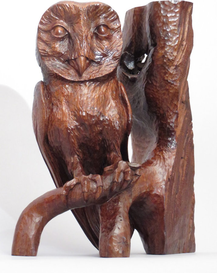 Albert A. BarnOwl
