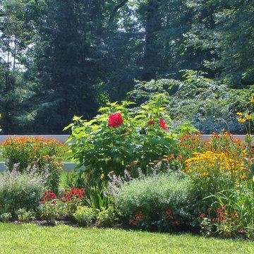 Perennial Gardens