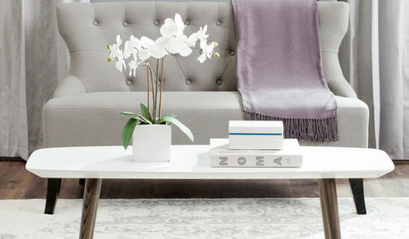 Up to 50% Off Coffee and End Tables