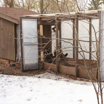 Chicken Coop