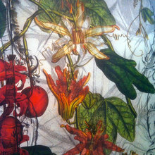 Wall Art / Coverings / Murals