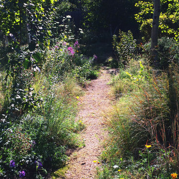 Drama and Enticement...The Humble Trail To The Meadows Beyond