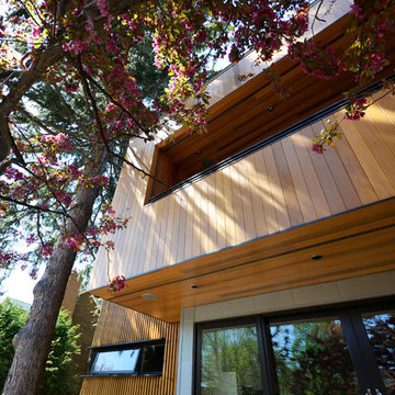 Treehouse