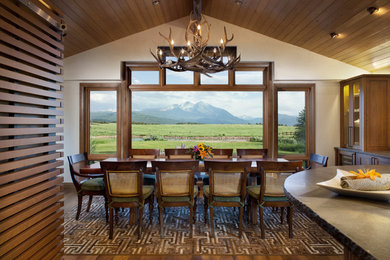 Inspiration for a transitional dining room remodel in Denver