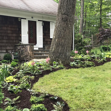 Deer resistant woodland garden