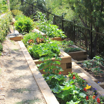 Edible gardens