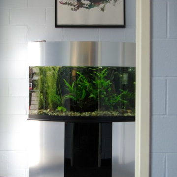 A portfolio of custom aquariums from our 17+ year history.