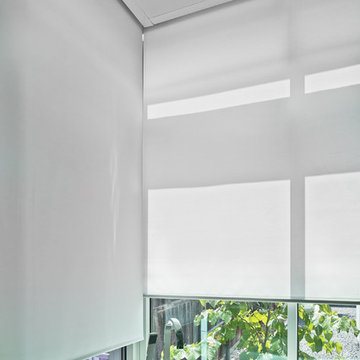 Privacy Shades