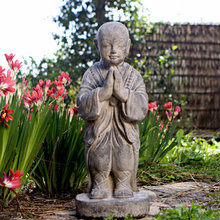 front garden/patio