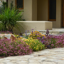 2022 Garden Inspiration