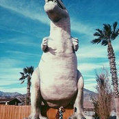 Sam Casino's photo