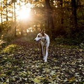Verena Blinn's photo