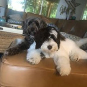 Susan Smith's photo
