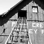 Jann Beck's photo