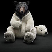 Mantas Karalius's photo