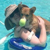 Whitney Bellowss billede