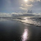 Cammie Branan's photo