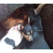 Lee Hartfield's photo