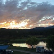 Pam Davis's photo