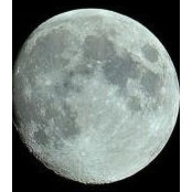 Scott Gentry's photo