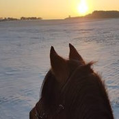 Caro Reichenbach's photo