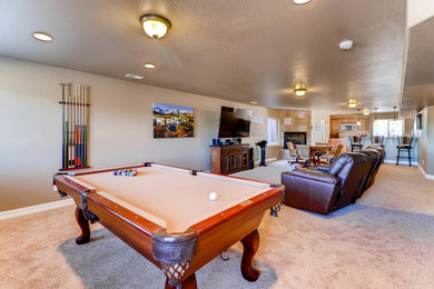 Basement photo in Denver