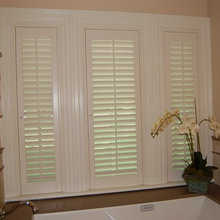 Window Blinds