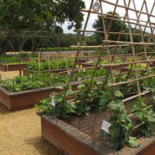 Vegetable Garden