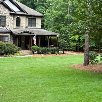 Lawn Renovation