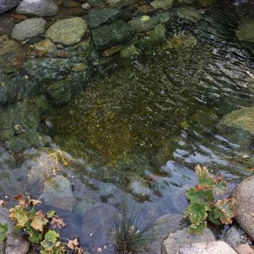 River House • Fiddletown, CA